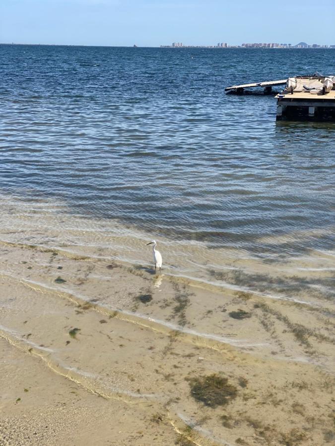 Mar Menor Elisa Apartment 산티아고 드 라 리베라 외부 사진